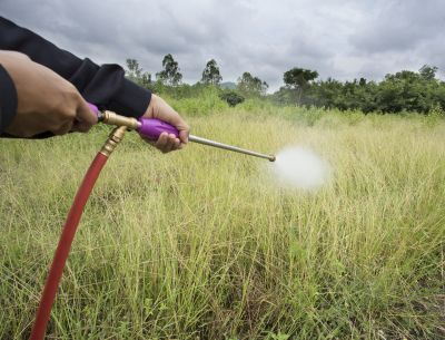 Crabgrass Removal in Aiken, SC