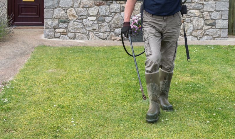 Lawn Herbicide Treatment in Rockwall, TX