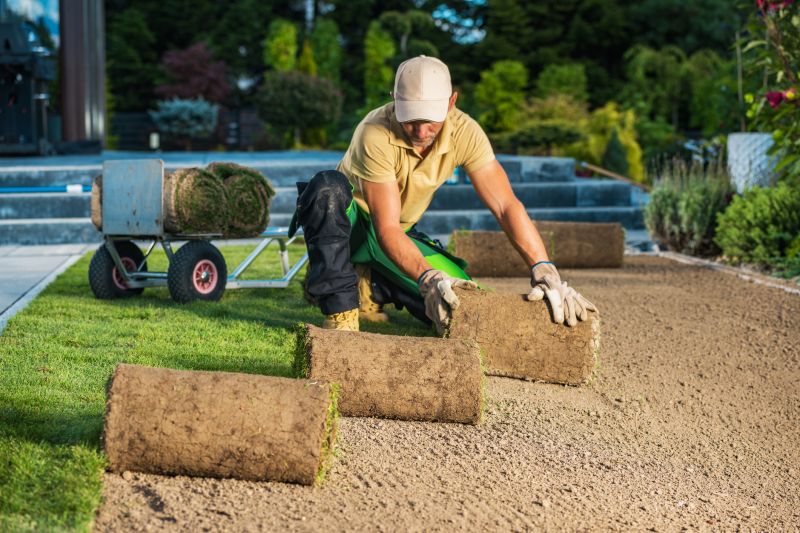 Lawn Installation in Ventura County, CA