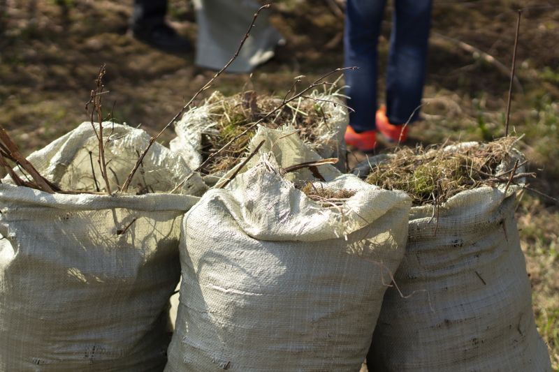 Lawn Waste Removal in Honolulu, HI