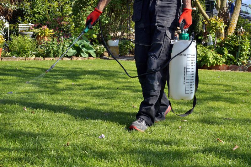 Lawn Weed Spraying in Honolulu, HI