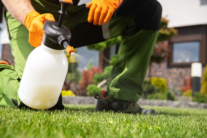 Lawn Weed Treatment in Aiken, SC