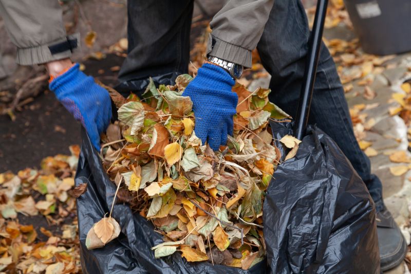 Leaf Cleanup Service in Honolulu, HI