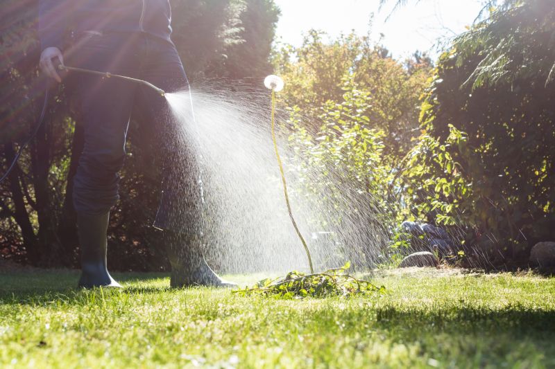 Pampas Grass Control in Ventura County, CA
