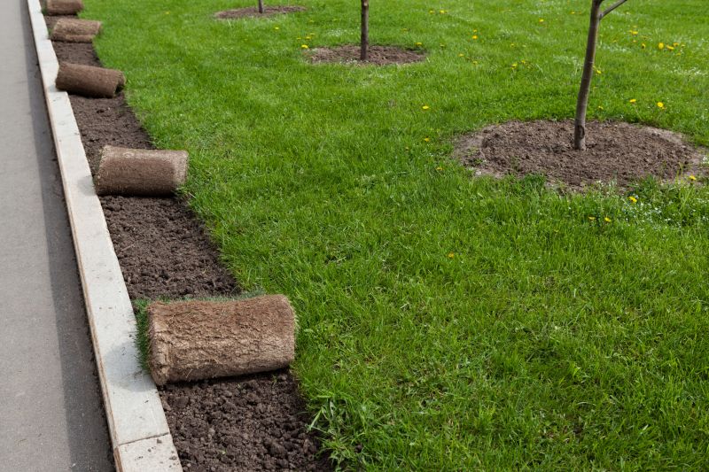 Ryegrass Sod Installation in Rockwall, TX
