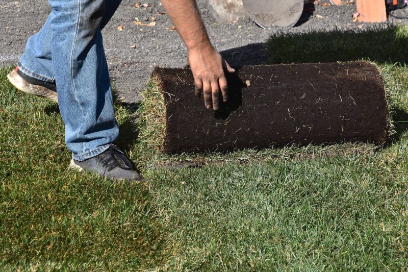 Sod Replacement in Aiken, SC
