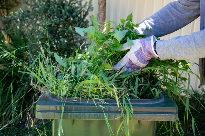 Spring Lawn Cleanup in Honolulu, HI