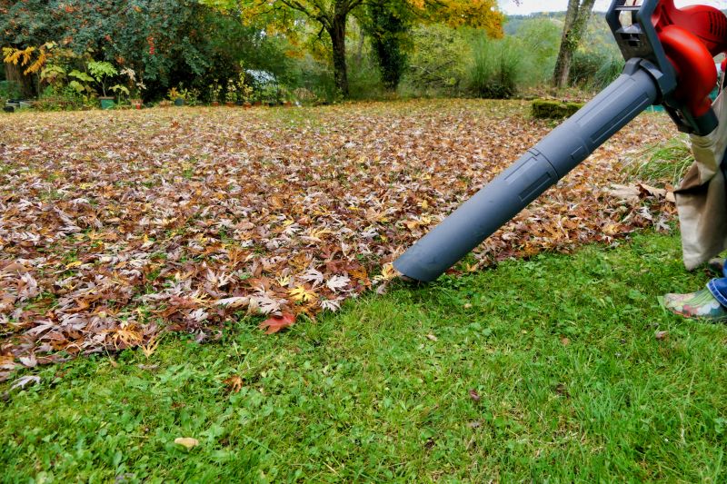 Spring Lawn Cleanup in Honolulu, HI