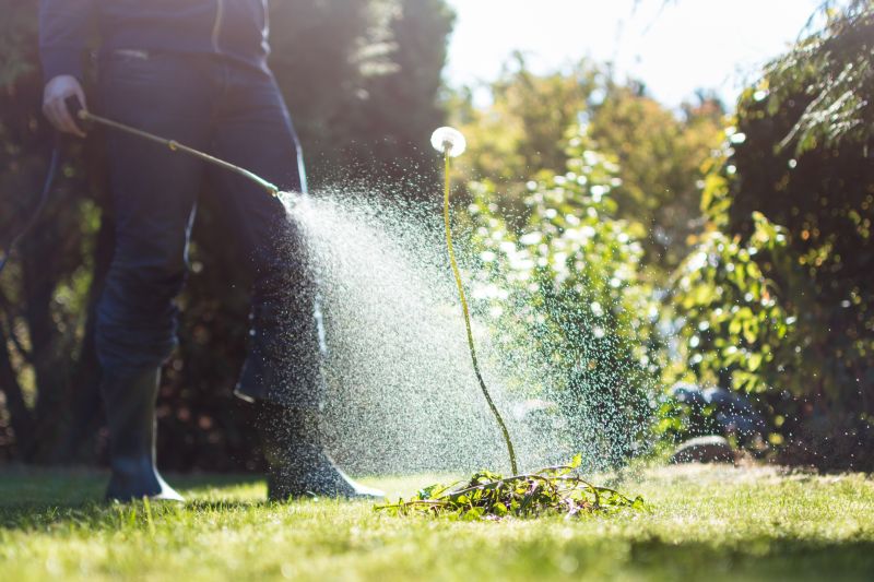 Weed Control Service in Honolulu, HI