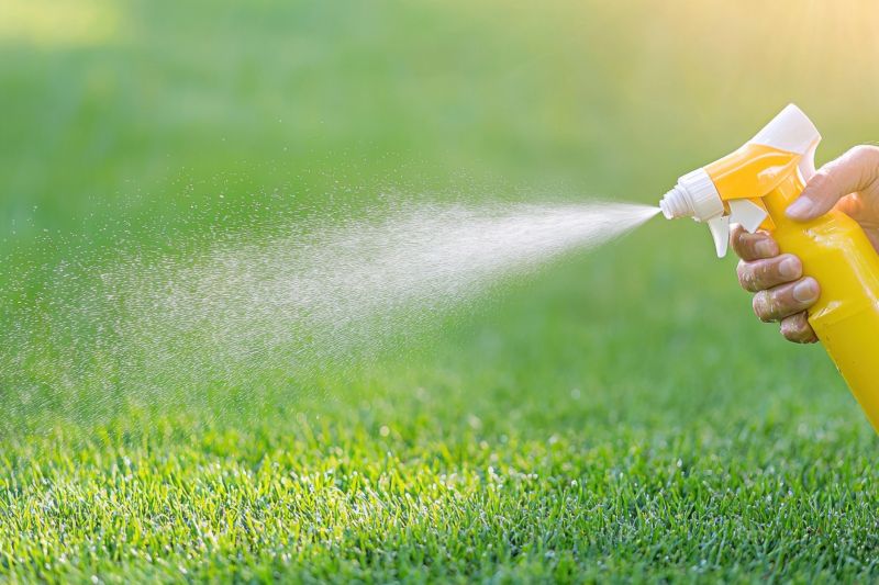 Weed Prevention Service in Aiken, SC