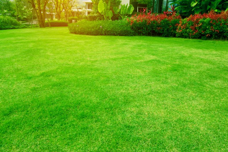 Lawn Maintenance Planning