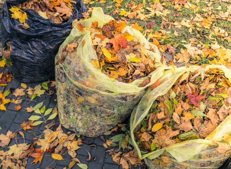 Yard Cleanup Service in Honolulu, HI