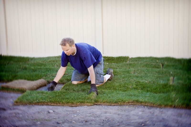 Yard Sodding in Ventura County, CA