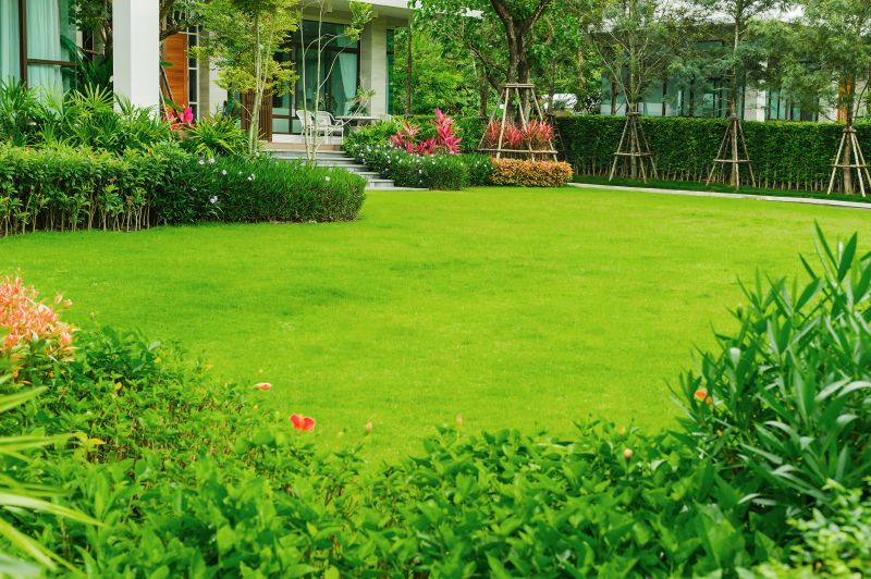 Zoysia Grass Installation in Honolulu, HI