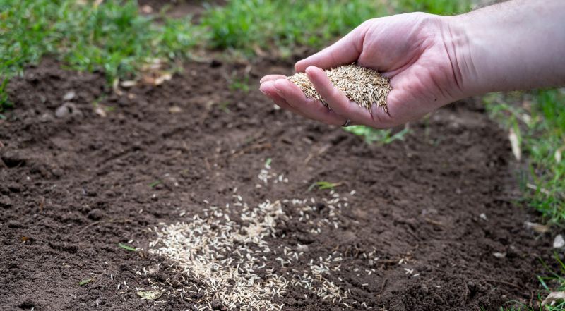 Grass Seeding Service in Honolulu, HI