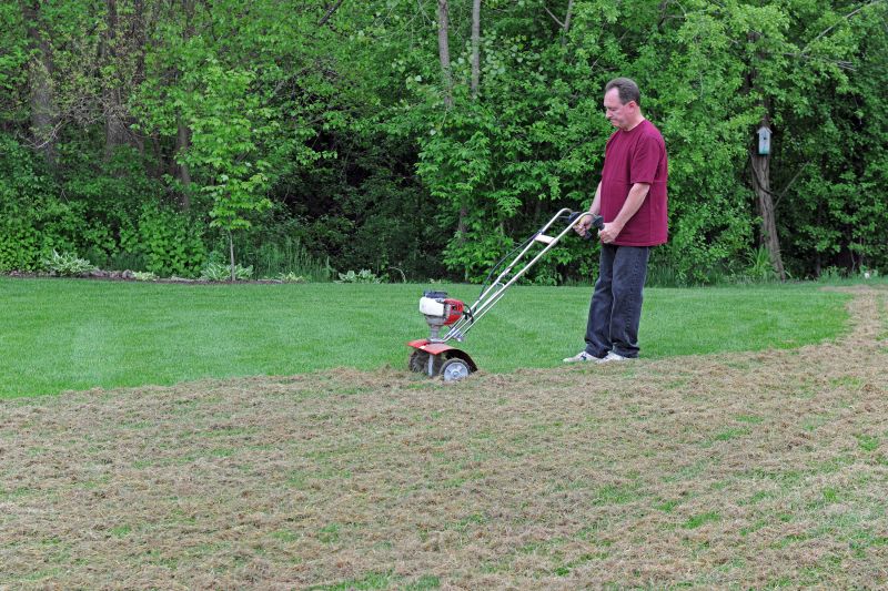 Local Lawn Dethatching pros at work